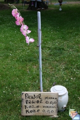 La Flambeau * (103 Diapositives)